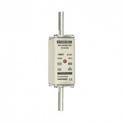 Fusible nh 1 100a 500v gg