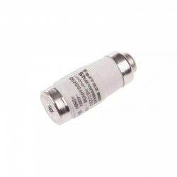 Fusible neozed d02 63a gl-gg