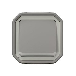 Pulsador luminoso 1p 10a gris