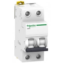 Interruptor ik60n 2p 25a c